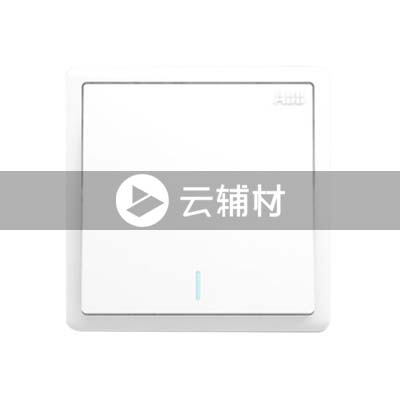 AQ101一位单控带荧光开关 10AX 