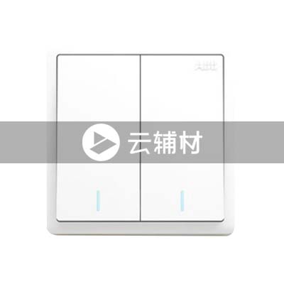 AQ106二位双控带荧光开关 10AX