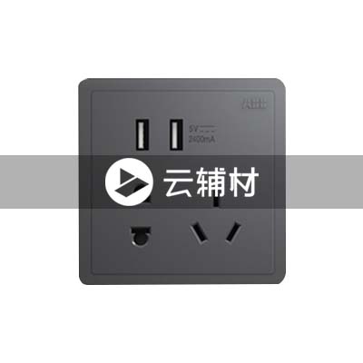 AQ293-EG带双USB充电二位二三极插座 10A，灰色