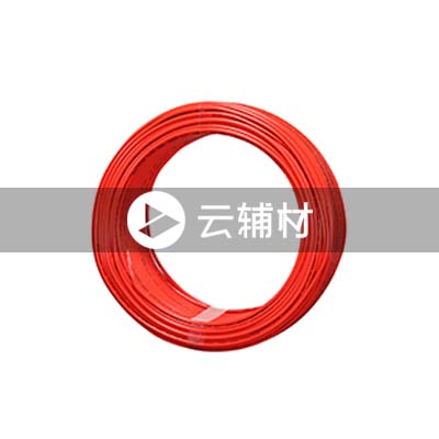 飞利浦SWA1960ZB-BV10红色