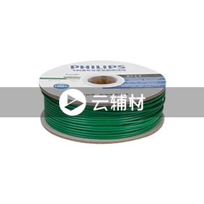 飞利浦SWA1958-100BV4.0绿色纸轴