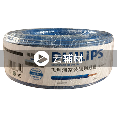 飞利浦SWA1956-100BV1.5蓝色