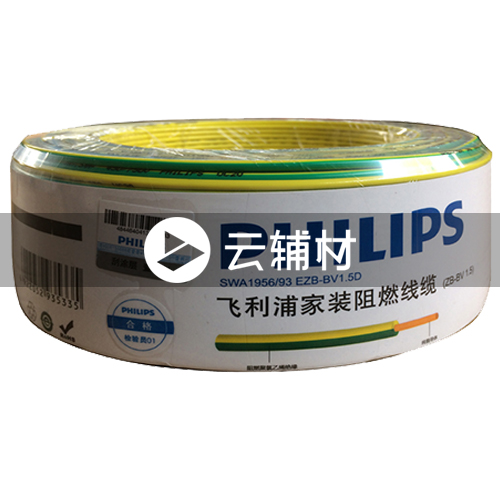 飞利浦SWA1956-100BV1.5黄绿