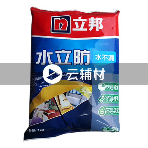 立邦水不漏2kg（堵漏王）