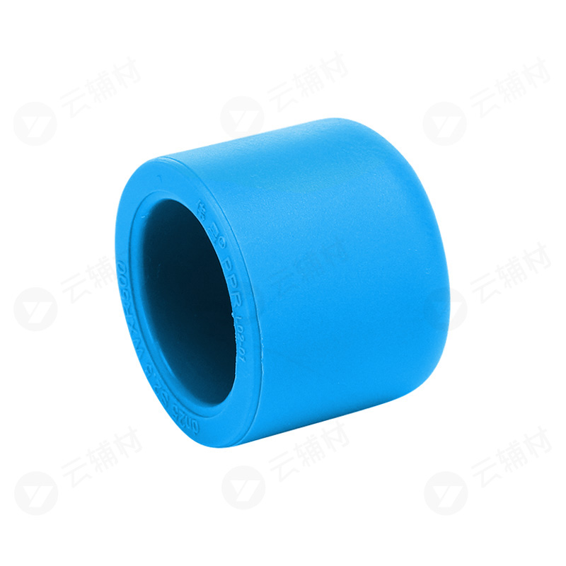 伟星天蓝色PPR 管帽20