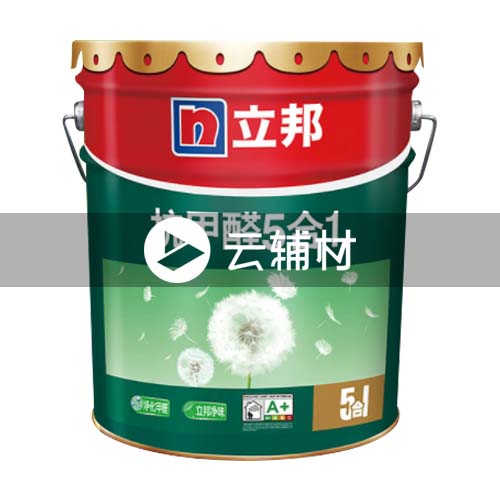 立邦抗甲醛净味5in1  5L